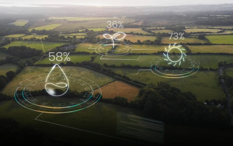 Untitled design - 2025-08-18T131615.253