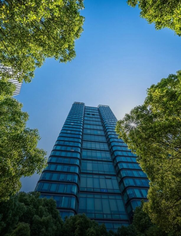 Untitled design - 2025-08-19T170509.583