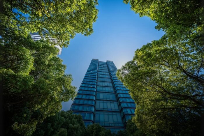 Untitled design - 2025-08-19T170509.583