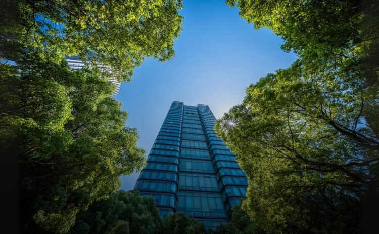 Untitled design - 2025-08-19T170509.583